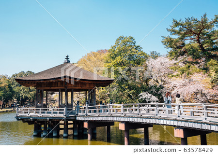 Ukimido pavilion on pond with cherry blossoms in Nara, Japan Ukimido pavilion on pond with cherry blossoms in Nara, Japan 63578429