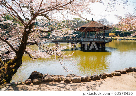 Ukimido pavilion on pond with cherry blossoms in Nara, Japan Ukimido pavilion on pond with cherry blossoms in Nara, Japan 63578430