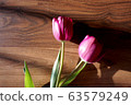 鬱金香，花卉，植物，靜物，定向，自然光，陽光，紅色，裝飾，裝飾 63579249