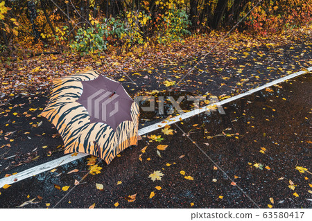 Outdoor bright umbrella on an empty bike path in the park, autumn landscape, fallen leaves, bright colorful trees. Healthy lifestyle, outdoor activities. 63580417