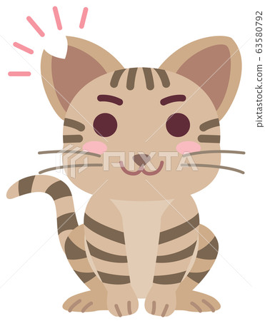 Local cat boy with castration surgery and ear cut 63580792