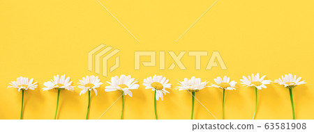 Border made with white chamomile flowers on yellow 63581908