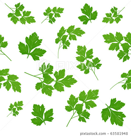 Fresh green parsley leaves on white background. 63581948