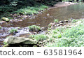 The Grand canyon is a beautiful natural Park in Zhangjiajie, Hunan province, China 63581964