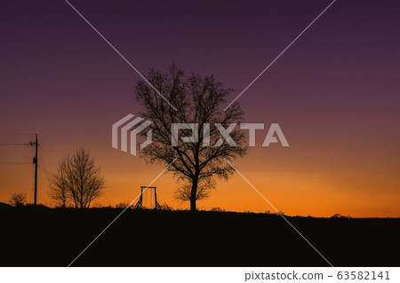 sunset 63582141