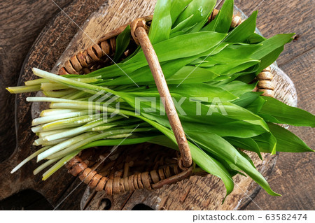 Fresh young wild garlic leaves in a basket Fresh young wild garlic leaves in a basket 63582474