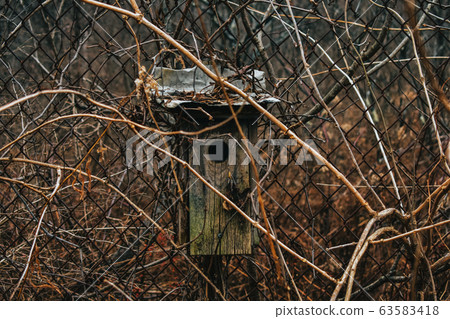 A Shot of an Old Abandoned Bird House 63583418