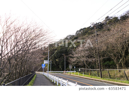 Hashirimizu Hashirimizu 63583471