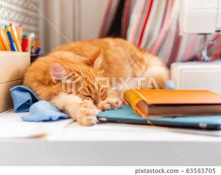 Cute ginger cat is sleeping among office supplies and sewing machine. Fluffy pet dozing on stationery. Cozy home background. 63583705