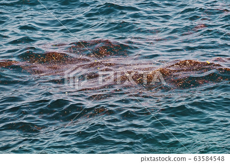 Accumulation of floating debris in seawater after Accumulation of floating debris in seawater after 63584548