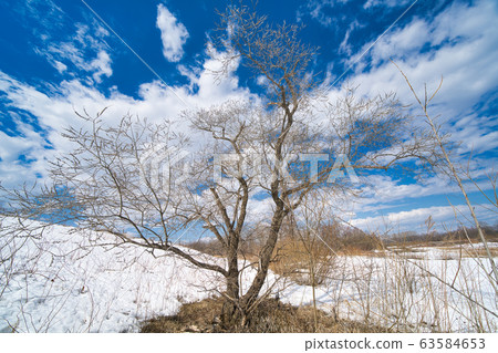 Tokachi before the thaw 63584653