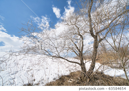 Tokachi before the thaw Tokachi before the thaw 63584654