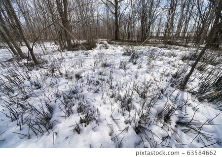 Tokachi before the thaw 63584662