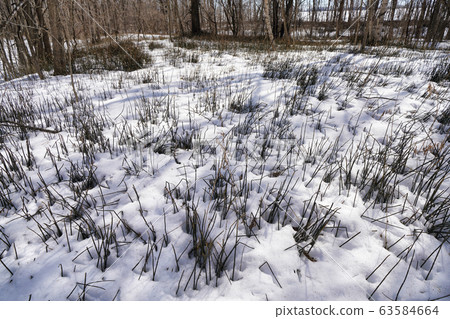 Tokachi before the thaw 63584664