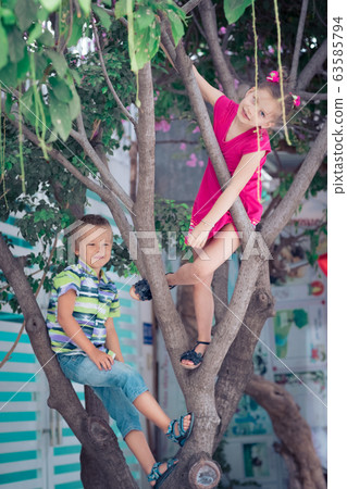Kids having fun in a tree 63585794