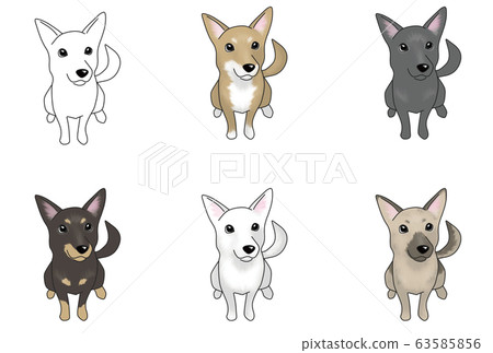 Dog 63585856