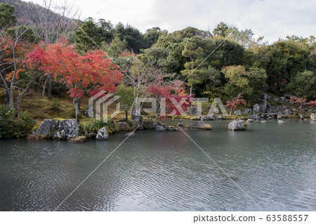 Colorful autumn park and pond with red maple trees Colorful autumn park and pond with red maple trees 63588557