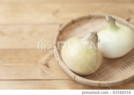 新洋蔥 新洋蔥 63588558