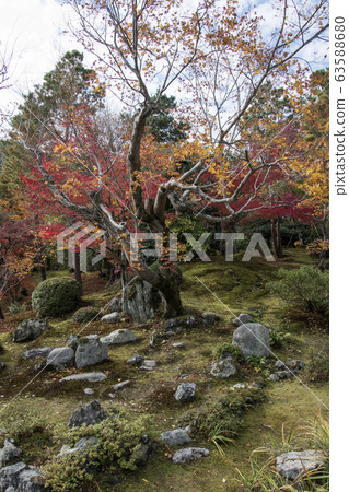 Beautiful zen garden in Tenryuji temple in Beautiful zen garden in Tenryuji temple in 63588680