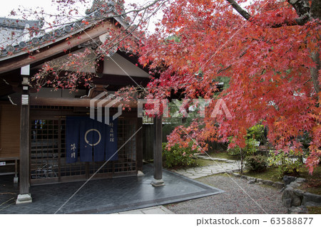 Beautiful zen garden in Tenryuji temple in Beautiful zen garden in Tenryuji temple in 63588877