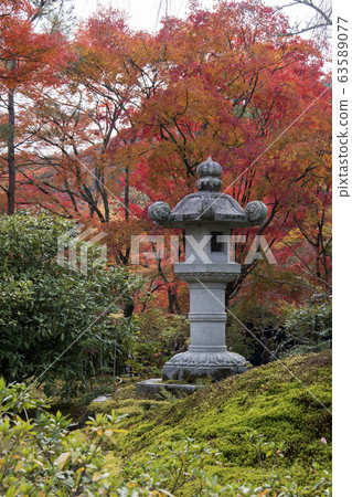 Beautiful zen garden in Tenryuji temple in Beautiful zen garden in Tenryuji temple in 63589077