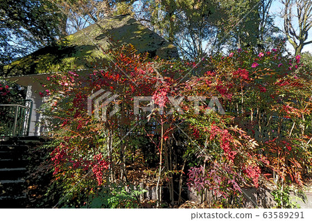 東山動物園和植物園 東山動物園和植物園 63589291