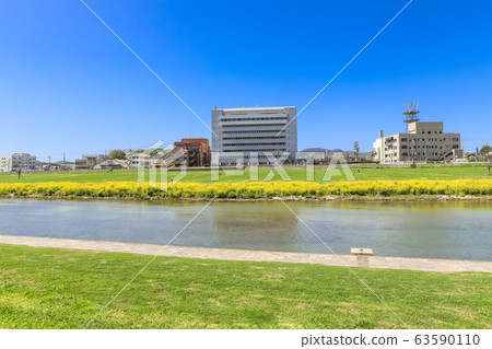 Rape blossoms and Nogata City Hall on the riverbed of Onga River Nogata City, Fukuoka Prefecture 63590110