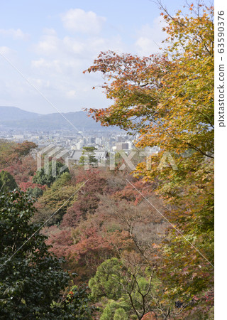 Kiyomizu Temple Kinsetsuki 63590376