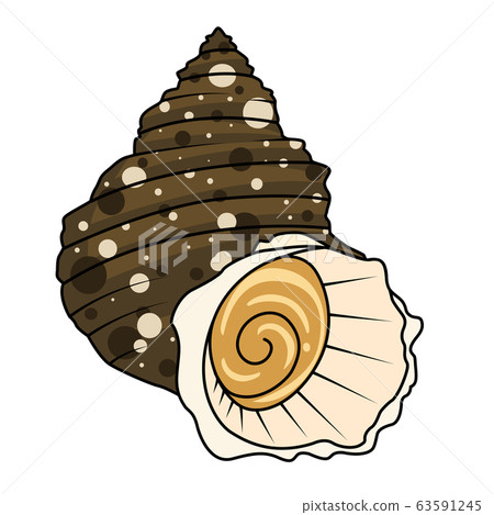 Illustration of shellfish-Sazae - Stock Illustration [63591245] - PIXTA