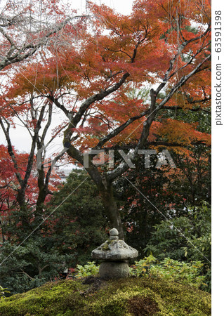 Beautiful zen garden in Tenryuji temple in Beautiful zen garden in Tenryuji temple in 63591398