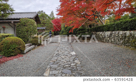 Autumn colored garden in Tenryuji temple Autumn colored garden in Tenryuji temple 63591428