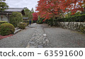 Autumn colored garden in Tenryuji temple 63591600