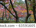 Eikando Zenrinji gardens in Kyoto, Japan 63591605