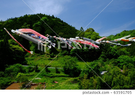 Carp streamer swimming in fresh green Carp streamer swimming in fresh green 63591705