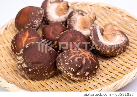 Haruki Shiitake 63591855