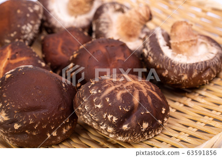 Haruki Shiitake 63591856