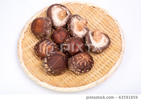 Haruki Shiitake 63591859