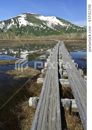 Mt.Shibutsu reflected in the wooden path and Chitang in Ozegahara 63592206