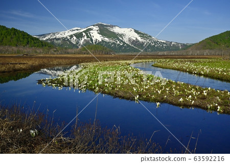 Mt.Fuji to Ozegahara and Chitang in bloom 63592216