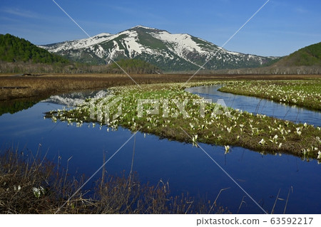 Mt.Fuji to Ozegahara and Chitang in bloom 63592217