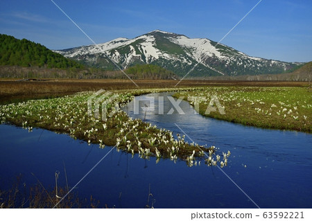 Mizubasho blooms in Ozegahara, Obori River below and Mt. Mizubasho blooms in Ozegahara, Obori River below and Mt. 63592221