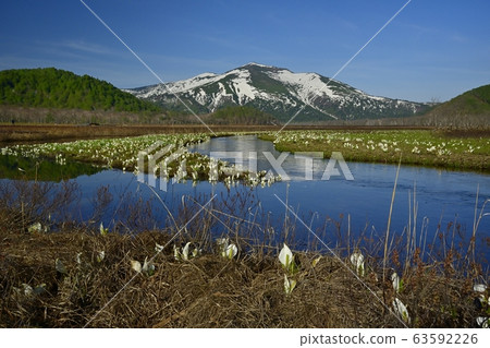 Mizubasho在Ozegahara,Obori河和Mt. Mizubasho在Ozegahara,Obori河和Mt. 63592226