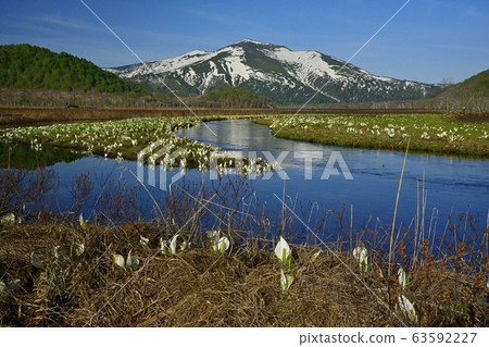Mizubasho在Ozegahara,Obori河和Mt. Mizubasho在Ozegahara,Obori河和Mt. 63592227