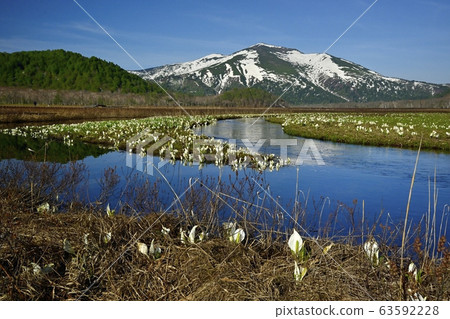Mizubasho在Ozegahara,Obori河和Mt. Mizubasho在Ozegahara,Obori河和Mt. 63592228