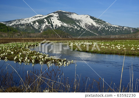 Obori river and Mt. 63592230