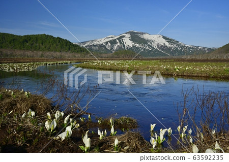 Obori river and Mt. Obori river and Mt. 63592235