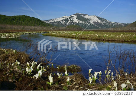 Obori river and Mt. 63592237