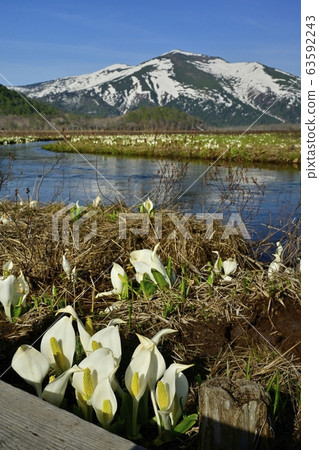 Obori river and Mt. Obori river and Mt. 63592243