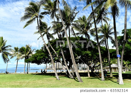 Holidays in Hawaii Holidays in Hawaii 63592314