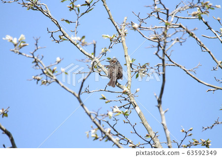Brown fountain in a blue sky 63592349